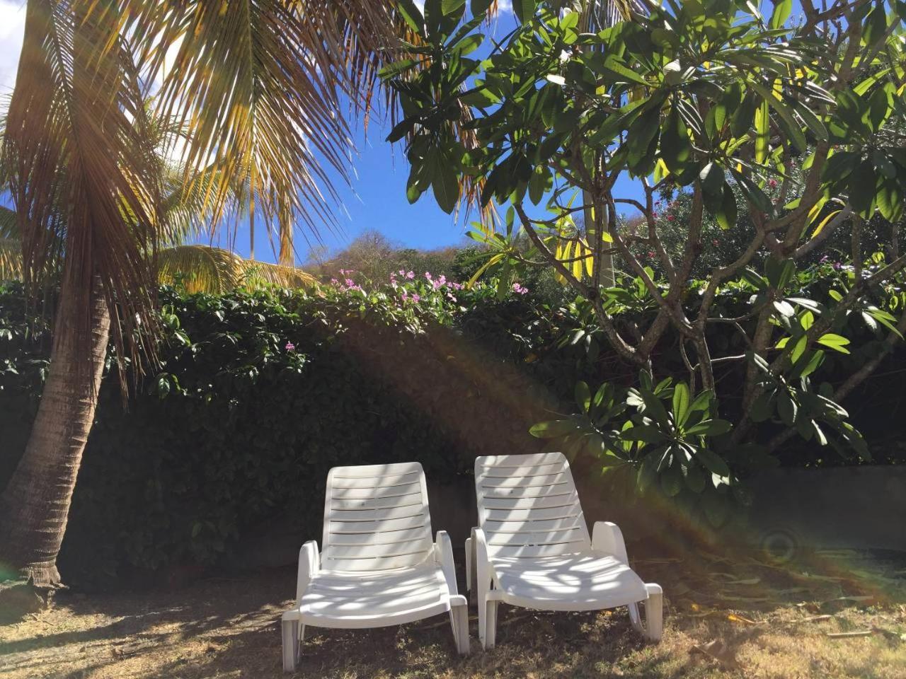 T2 Tropical En Bord De Piscine A 100M De La Mer Apartment Le Carbet Exterior photo